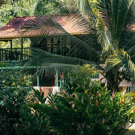 Casa De Mono Bocas Bed and Breakfast Big Creek Eksteriør billede