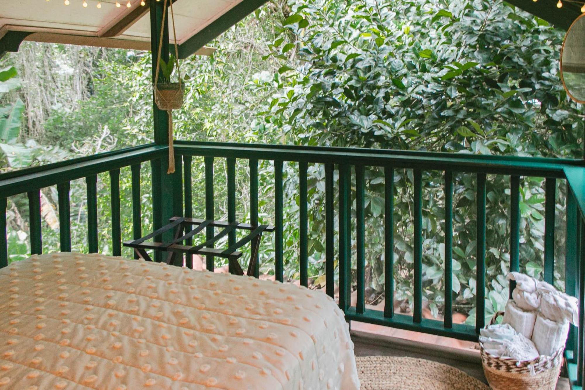 Casa De Mono Bocas Bed and Breakfast Big Creek Eksteriør billede