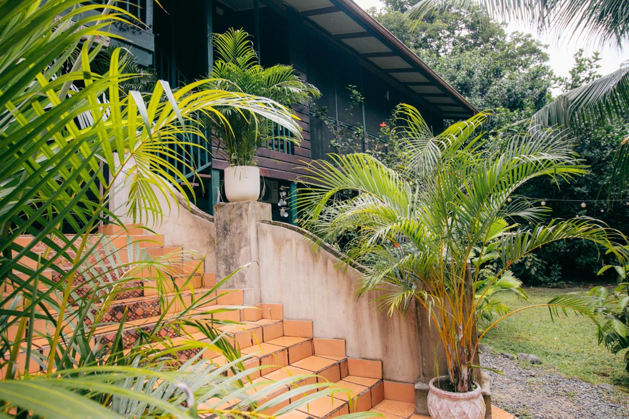 Casa De Mono Bocas Bed and Breakfast Big Creek Eksteriør billede